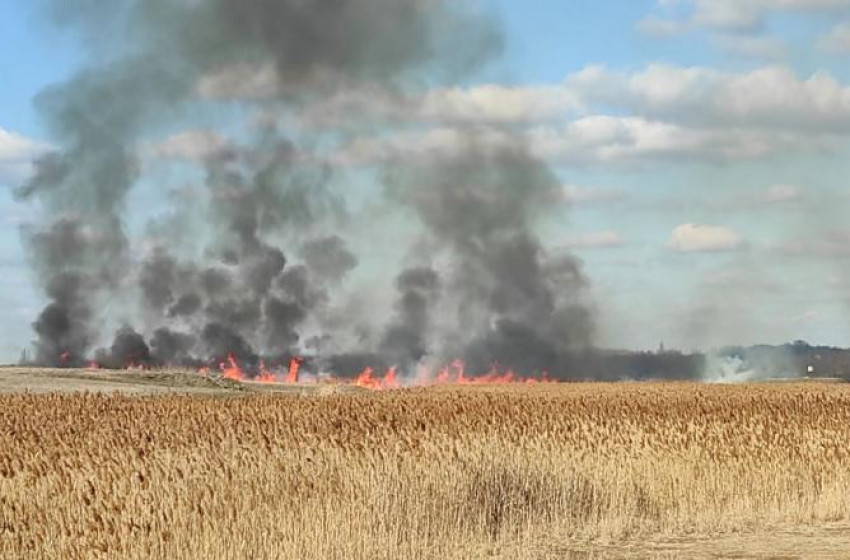Idén nyáron már hét aratással összefüggő mezőgazdasági tűzhöz riasztották a megyei tűzoltókat
