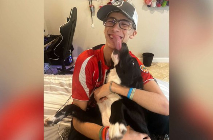 Kutyája mentette meg a 17 éves fiú életét