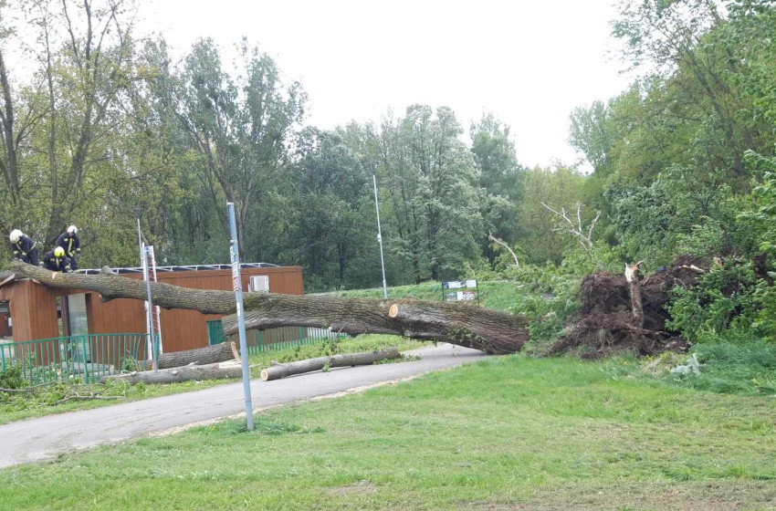 A büfé épületére dőlt egy fa a viharos szélben Csornán