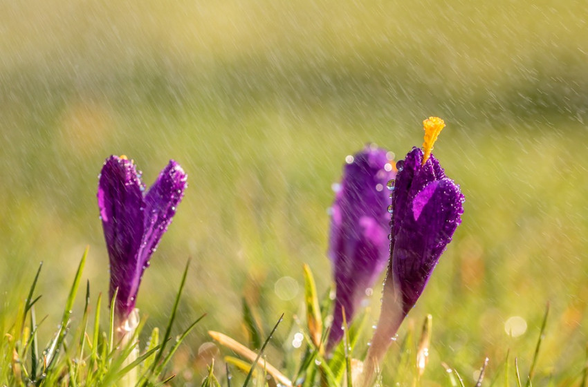 Lesz, ahol ma sem marad el a menetrend szerinti zápor 