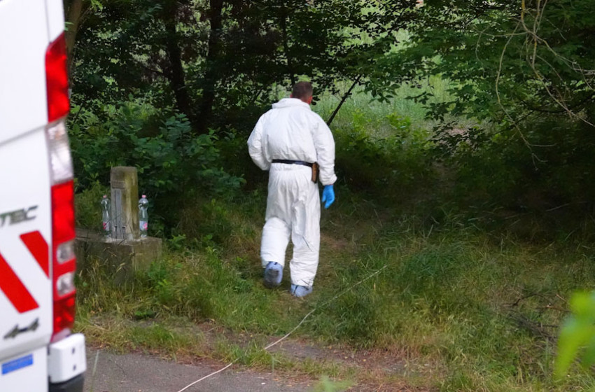 „Nem gyilkoltam” – ezt vallotta az a férfi, aki magára hagyta mozgásképtelen édesanyját az erdőben, még a járókeretét is eldugta előle