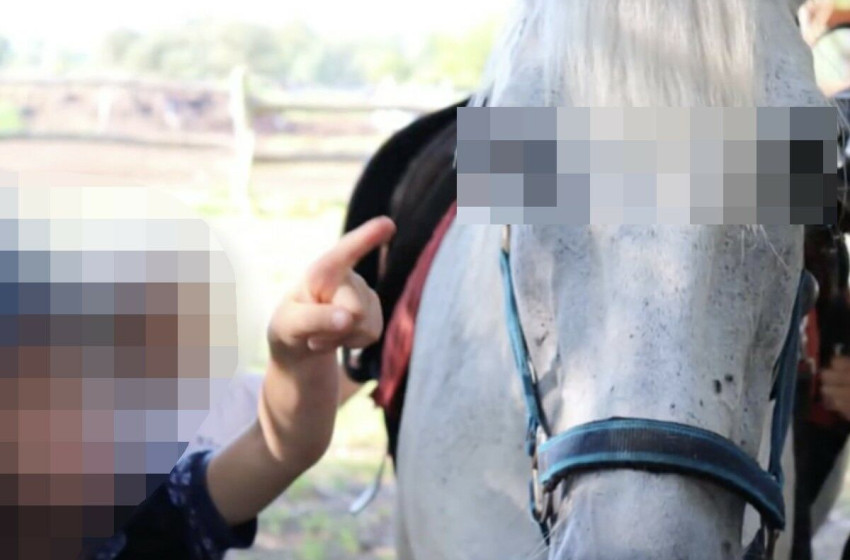 Egy kislányt rúgott fejbe a ló egy lovas táborban, mentőhelikopterrel szállították kórházba