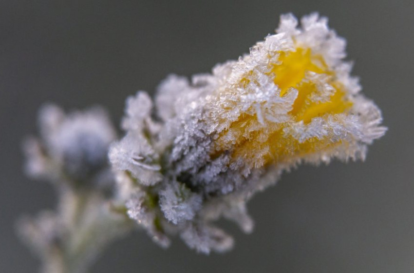 Mínusz 5,9 fokot mértek a Bükkben