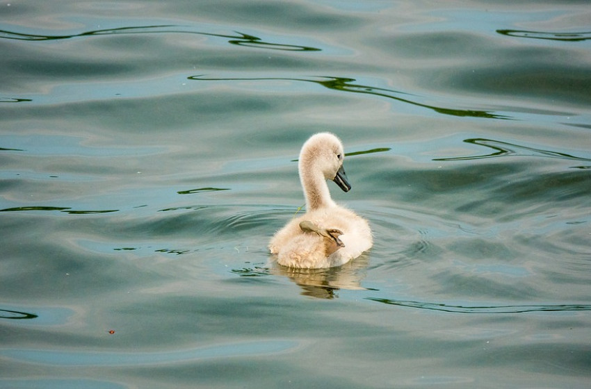 Marad a 30 fok fölötti hőmérséklet