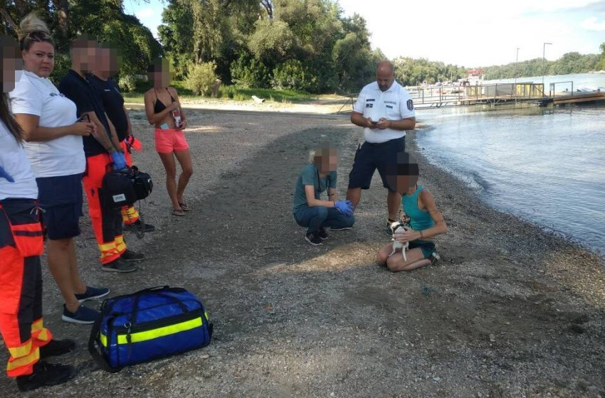 Kutyájával együtt akarta vízbe fojtani magát egy nő a Dunán