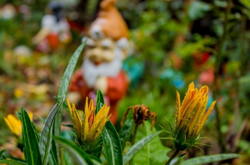 Top 10 komédiába illő bűneset 