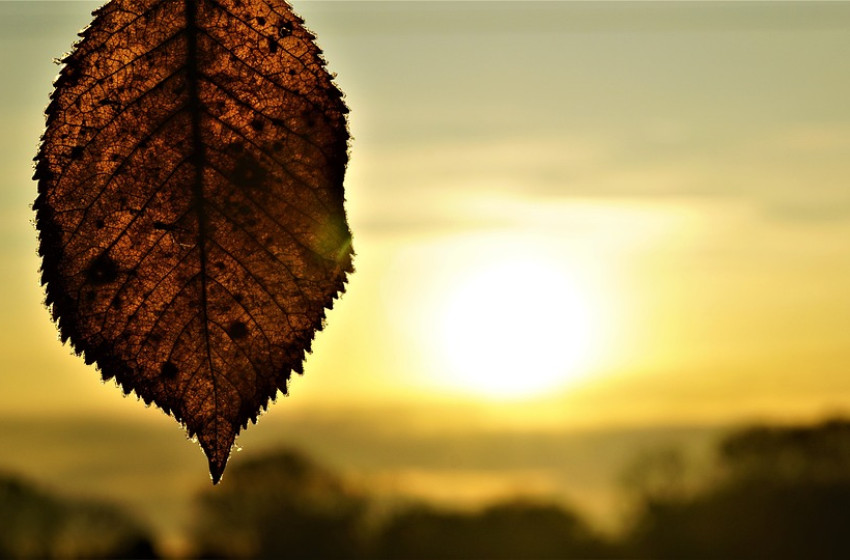 A valahaha mért egyik legforróbb szeptemberén vagyunk túl