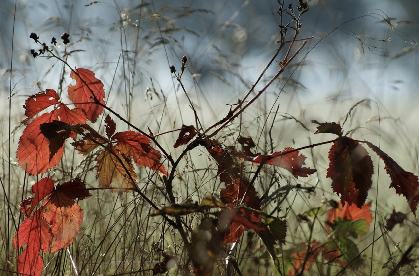 Szeles, napos, enyhe hétfő