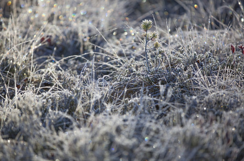 Ez vár ránk a hétvégén