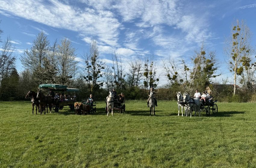 Sikeresen zajlott le a Húsvétoló Locsoló rendezvény Kapuváron