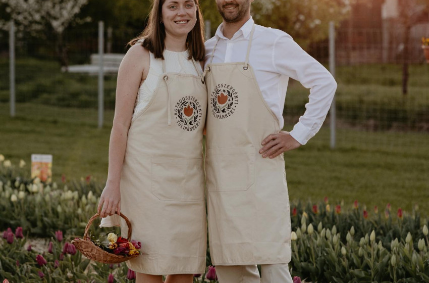 Véget ért a tulipánszezon az Agyagosszergényi Tulipánkertben