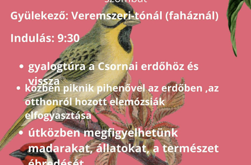 Madarak és fák napi túra Dörben