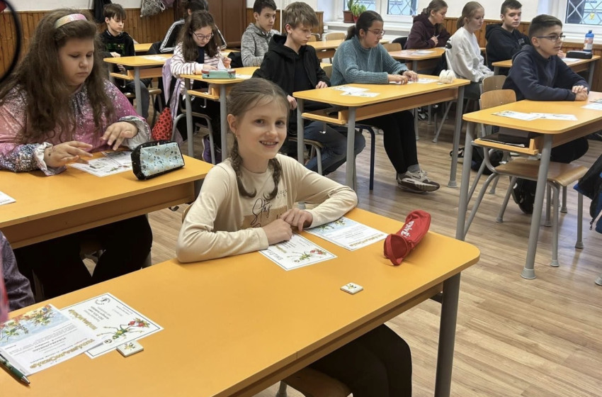 Vármegyei harmadik helyezést ért el a kapuvári diák a Tudásbajnokságon