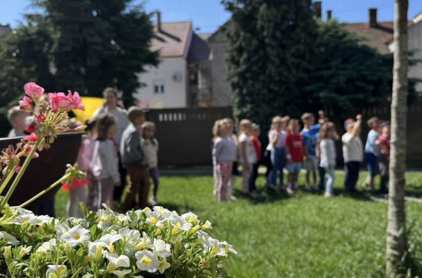 Közösen a természetért az óvodában