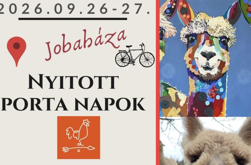 Nyitott Porta Napok Jobaházán – testközelből ismerkedhetnek meg az érdeklődők az alpakákkal